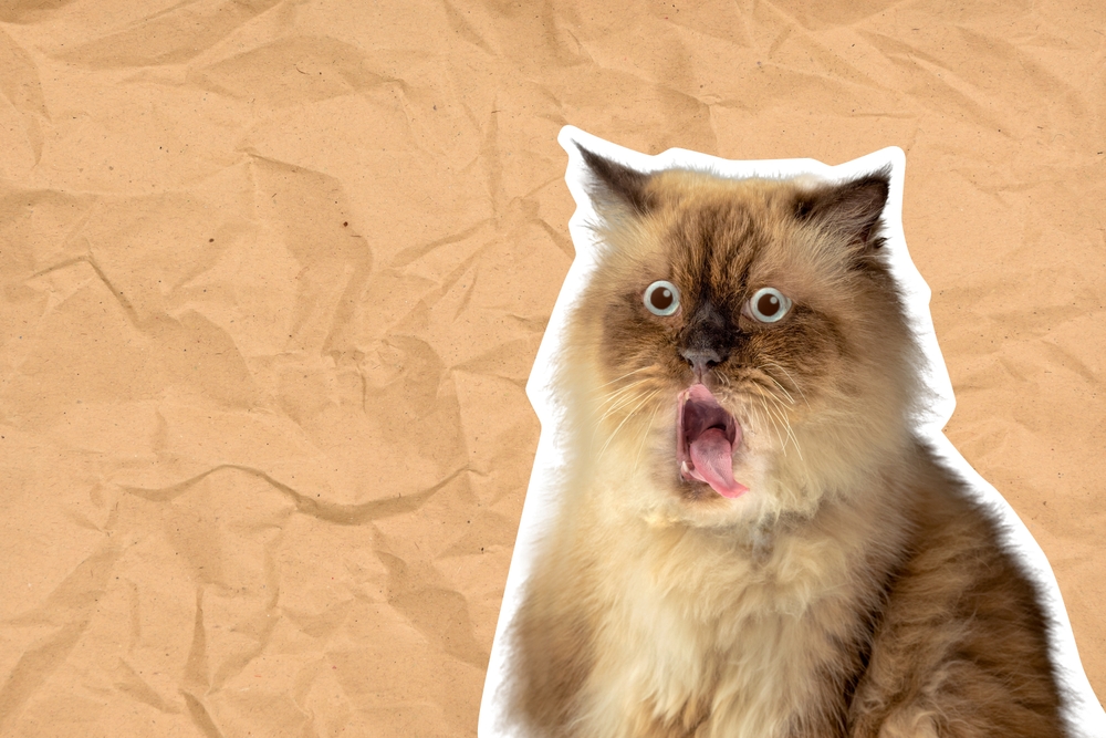 10 Purr-fectly Hilarious AI-Generated Memes Promoting Whiskas Deluxe Kitten Food